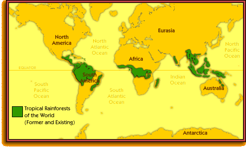 Rainforest World Map Of The Orchids